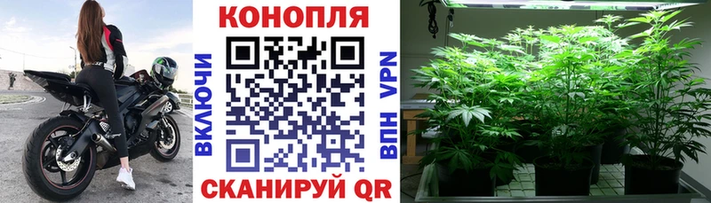 Канабис SATIVA & INDICA  Белореченск 